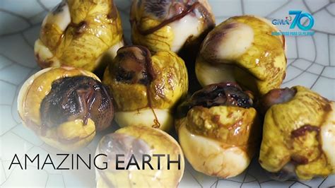 benefits of balot|Amazing Earth: What are the health benefits of balut quail eggs or .